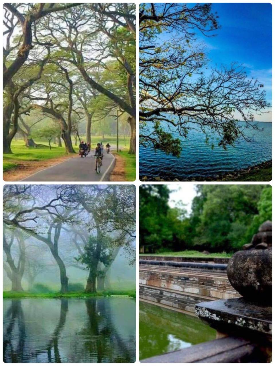 Kingdom Gate Hotel Anuradhapura Ngoại thất bức ảnh